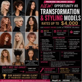 MegaFlash Models Instagram post