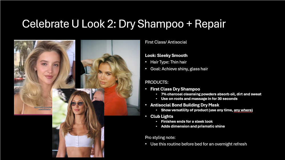 Client #3 — Dry Shampoo + Repair mood board