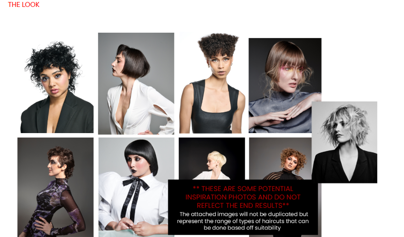 $750 MODEL CASTING | Wella Cut Expert ✂️ Calabasas | Sept. 30–Oct. 1