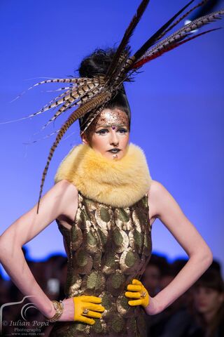 Aliona Loghin — hair model in Chicago, IL