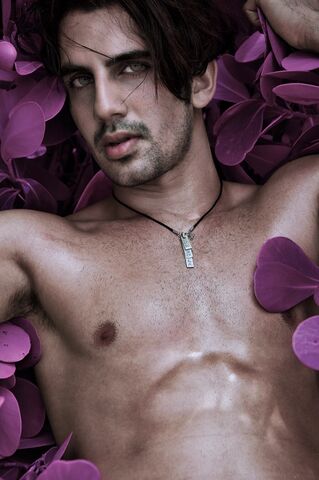 Ali Emadi — hair model in Jackson Heights, NY