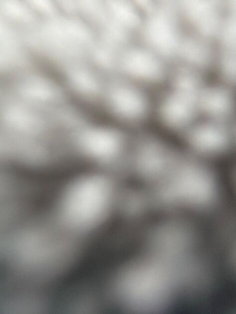 Digital photo