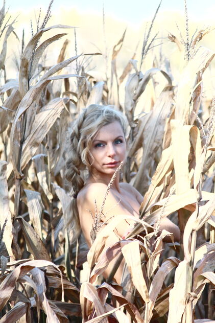 Portfolio photo