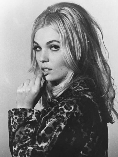 Portfolio photo