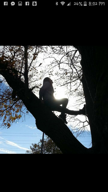 Pro photo
